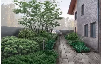 Авторское сопровождение