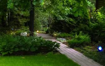 Аудит участка